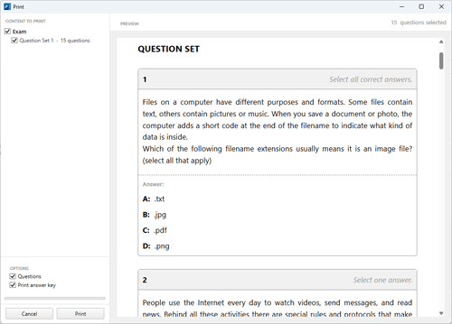 ProfExam Creator - Print Preview