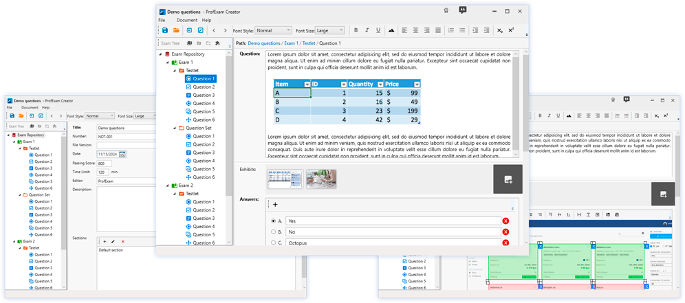 ProfExam Creator - Test info, Single Answer Question, Hot Area