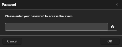 ProfExam Simulator - Password-Protected Exams